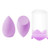Purple - Capella Makeup Sponge
