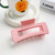 Hair Clips for Women Large Neutral Rectangle Hair Clips (Large)