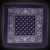 22" Silk Screened Blue Cotton Bandana