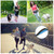 Dog Bungee Leash with Waist Pack Belt