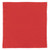 6242 RED Blank - Microfiber Cleaning Cloth In Case