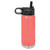 Polar Camel 20oz Coral Stainless Steel Water Bottle