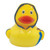 Bad Weather Duck