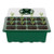 Seedling Box