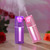 Various Blank - Electric Rose Mini Humidifier