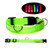 LED Lighted Dog Collar