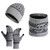 Gray/Black - Winter Beanie/Scarf/Gloves Set