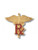 Prestige Medical - Pharmacist (RX) Cloisonne Pin