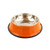 Orange - 29cm Colorful Steel Pet Treat Bowl Food Tray