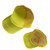 Foam Mesh Back Hat
