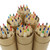 Environmental Colored Pencil Set