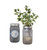 Modern Sprout® Indoor Herb Garden Kit - Ice Blue