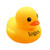 Yellow Rubber Ducks