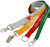 Various Logo - 3/4" Polyester Custom Printed Lanyard