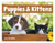 Puppies & Kittens - Window 2026 Calendar - Puppies & Kittens - Window