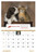 Puppies & Kittens - Window 7507_25_3.png - Puppies & Kittens - Window