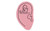 Pink Logo - 4" Econo Compressed Ear Sponge