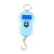 Mini Hanging Scales with Hook