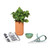 Alternate - Modern Sprout® Growing Gourmet Gift Set - Terracotta