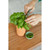 Alternate - Modern Sprout® Growing Gourmet Gift Set - Terracotta