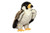 Houston Falcon Stuffed Animal