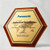 Hexagonal Authorized Distributor Plaque