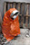 84" x 36" Orange Heavy Duty Emergency Aluminized PE Sleeping Bag