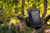 NBN Recycled Outdoor 15'' Computer Pack