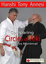 Circles of Aiki (Comparing The Circles of Aiki Large vs Minimal)