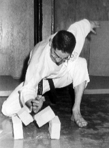 Searching for The Secrets of The Martial Arts ( Download )