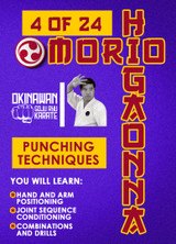 Mastering Traditional Okinawan Goju-Ryu - Vol.4