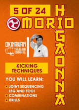 Mastering Traditional Okinawan Goju-Ryu - Vol.5