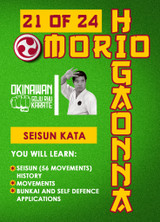 Mastering Traditional Okinawan Goju-Ryu - Vol.21