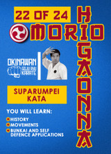 Mastering Traditional Okinawan Goju-Ryu - Vol.22