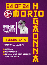 Mastering Traditional Okinawan Goju-Ryu - Vol.24