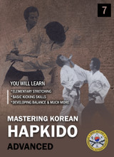 Mastering Korean Hapkido - Vol.7