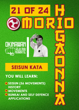 Mastering Traditional Okinawan Goju-Ryu - Vol.21 dL (Video Download)