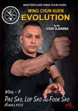 Wing Chun Kuen - EVOLUTION - Vol.1 - Pac Sao, Lop Sao and Fook Sao Analysis