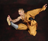 Shi Yanti the New Face Of The  Shaolin Temple final Chapter (Please share with a friend).