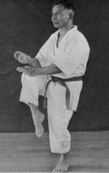 “The Crown Prince Of Uechi Ryu Karate”