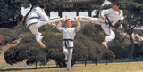 The Kicking Art of Taekwondo