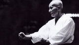 The Harmony Way of Wado Ryu Karate