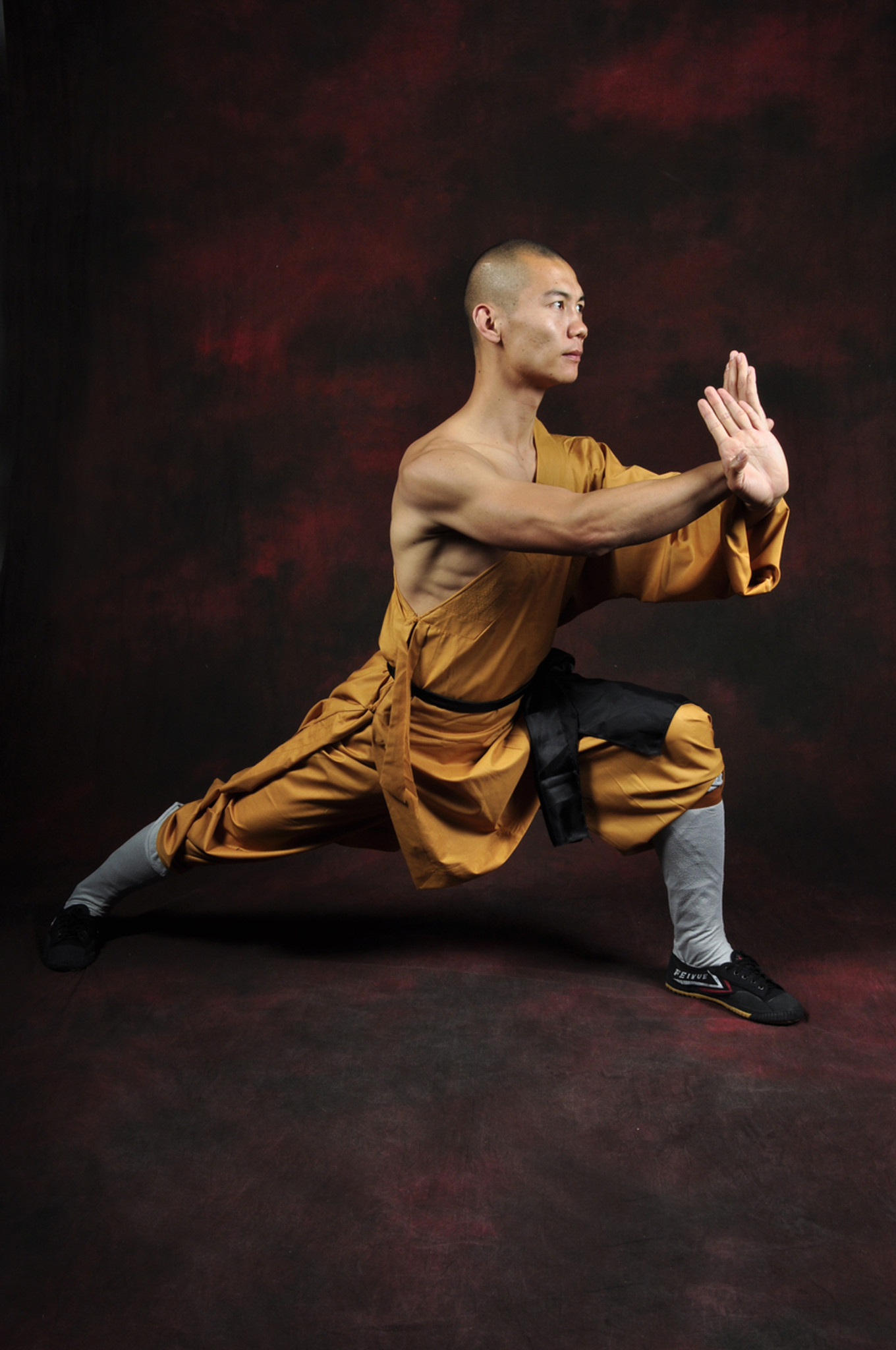 Crane Style Pose | Martial arts, Martial arts techniques, Kung fu martial  arts