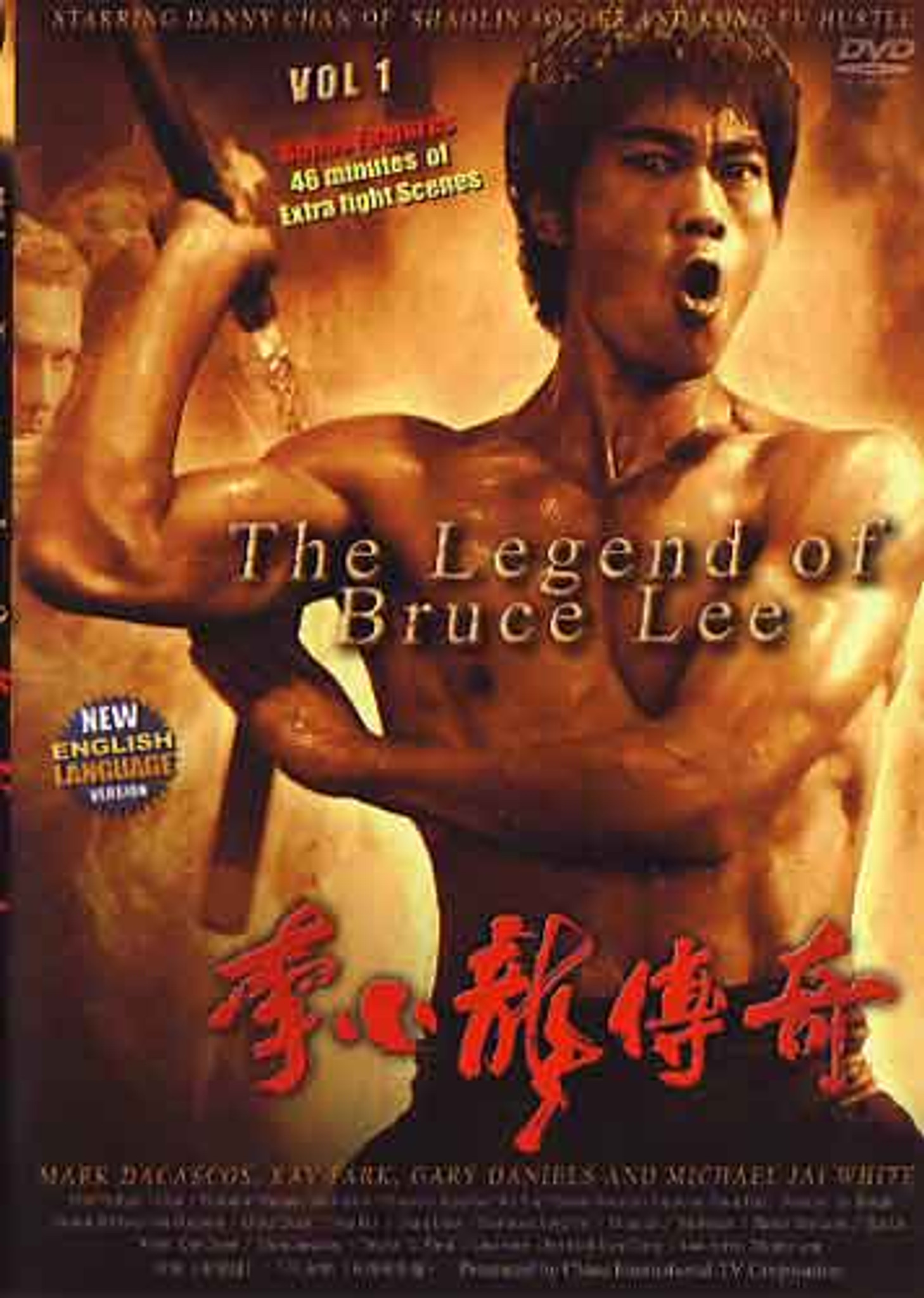 the legend of bruce lee