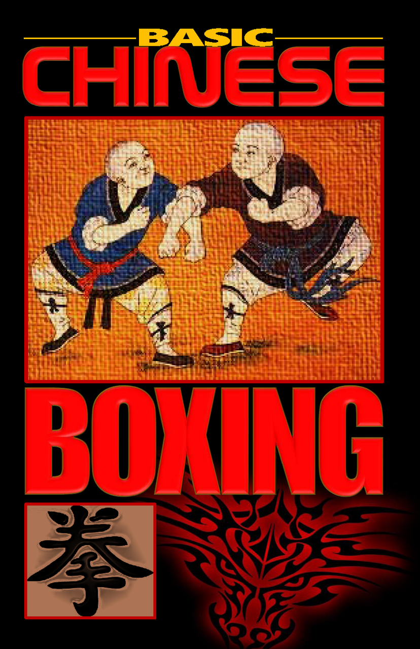 Basic Chinese Boxing Warrener Entertainment
