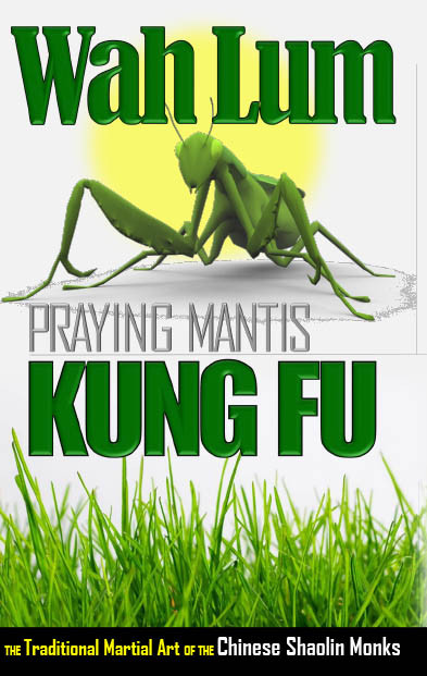 Wah Lum Praying Mantis Kung Fu Warrener Entertainment
