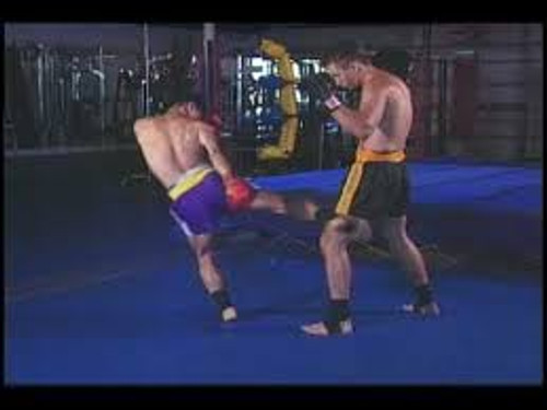 Muay Thai boxing Volume 3: Kicks & Knees