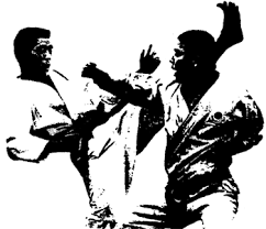 Image result for JKA Karate