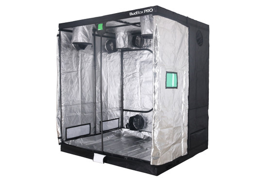 BUDBOX PRO GT-2  SILVER - 6'x7'x8' is the perfect tent for a  indoor grow room. It has a 16mm strong steel frame and a silver interior. The BudBox Pro Grow Tent comes with roof support bars and straps. The whole BudBox Pro Grow Tent range is now equipped with steel, push & click fit connectors, which, in addition to the thicker tempered steel poles, provide greater load bearing strength for all your filters, fans and lighting requirements. BudBox is still the ONLY grow tent that takes the time and care to powder coat our poles and connectors, delivering the best possible anti-corrosion protection and a very clean and reflective look. Our philosophy at BudBox is and will remain the cornerstone of our success and is not open to negotiation or compromise, WE USE THE BEST THERE IS ! All the component parts used in the construction of BudBox Grow Tents are sourced, tried & tested and are guaranteed safe for plants and people to use.

Maintaining a proper growing environment is crucial for a successful, high-yielding grow. Indoor growing tents provide a convenient way to isolate your growing area so you can maintain proper temperature, humidity, light and odor containment while keeping out dust and insects. BudBox grow tents are the newest, highest-quality, sturdiest tents we've used- and over many years of indoor growing, we've tried them all! Featuring the first white interior we have seen, easy assembly, easy access, sturdy frames to hold lights, filters and fans, the BudBox tents are the best way to create a self-contained environment for your indoor garden and maximize yields. A gorilla could hang from these grow tents!


FEATURES
- Strongest tent available
- Award winning grow tents
- Strong, black powder-coated frames 25mm tempered rolled steel
- All metal push & click corner connectors
- Large access doors / Inspection windows
- Military grade zippers
- Green viewing window
- Double stitched seams
- Uplift irrigation bar
- Double cuff vents
- 20% oversized vents
- Screamed passive vents
- Water proof drip tray
- Roof hanging bars
- Silicon pads for roof bars
- Clips to hold main door open
- Hanging straps provides
- Canvas completely unzips
- Huge range of sizes
- Inspection doors – (from XL up)
- Ground level irrigation ports – (from XL up)

