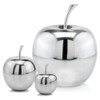 Manzana SM Polished Apple